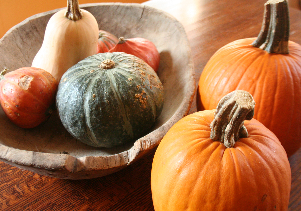 Winter Squashes - butternut, kabucha, pumpkin & golden nugget