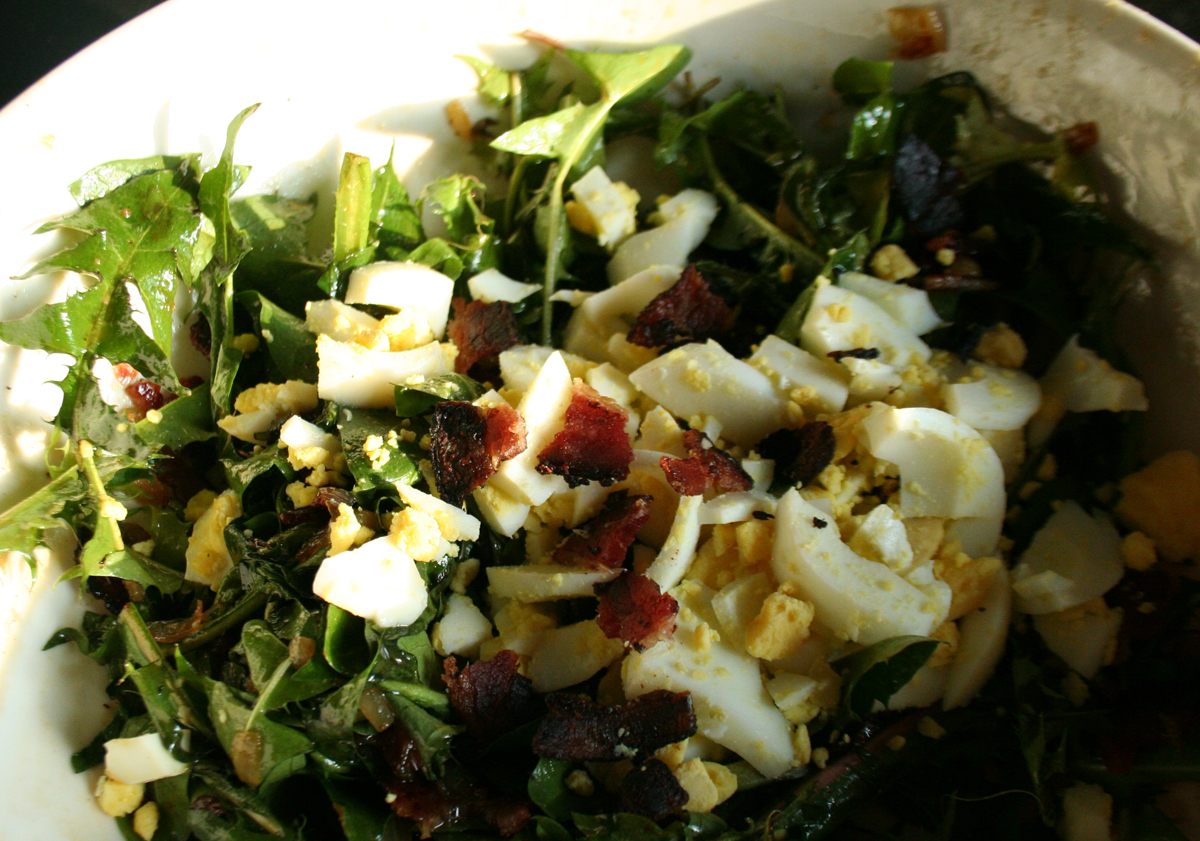 Wilted Dandelion Salad with Bacon Dressing