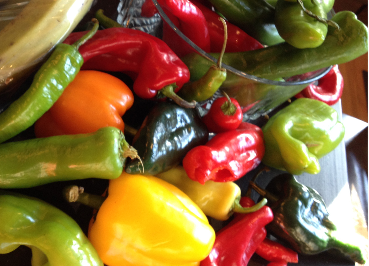 Lots of Assorted Peppers for making Piccalilli Pepper Relish