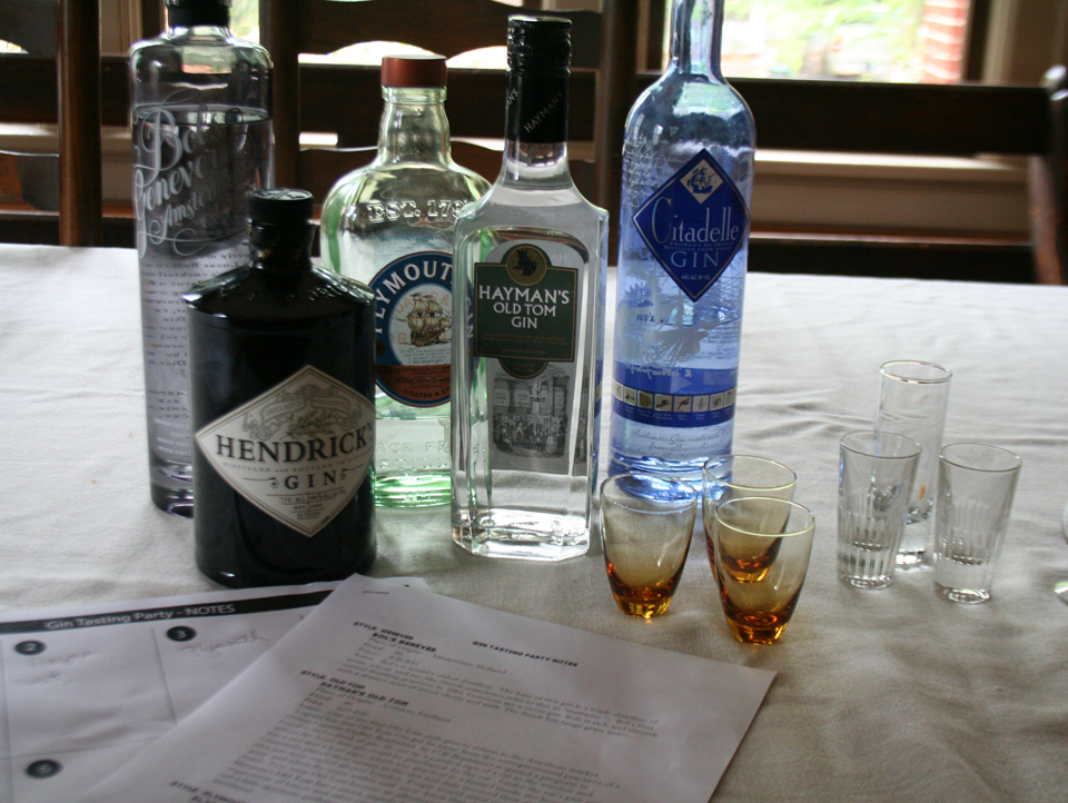 Gin Tasting for my Book Club crowd