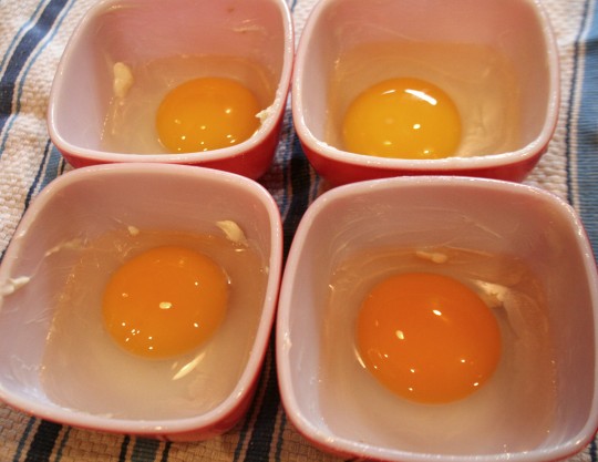Duck Eggs in Baking Dishes