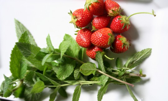 Fresh Mint and Strawberries