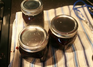Cooling jars of blackberry jam