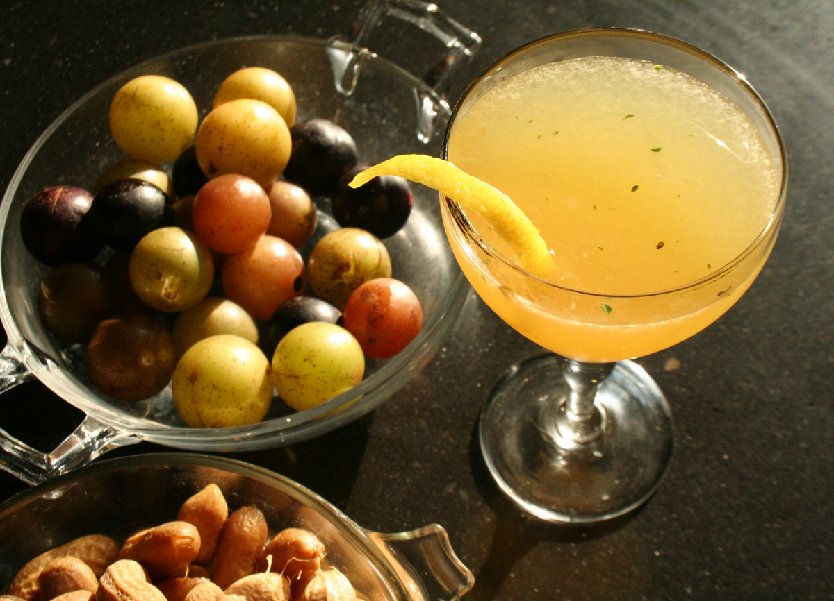 Muscadine Cocktail with boiled peanuts